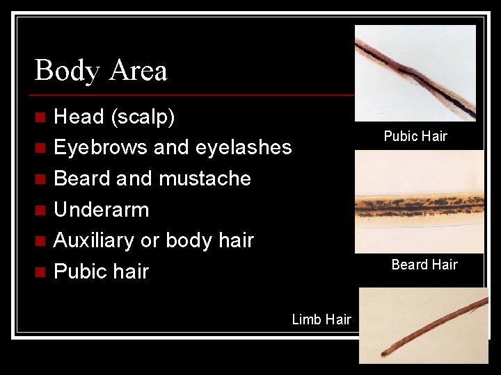 Body Area Head (scalp) n Eyebrows and eyelashes n Beard and mustache n Underarm