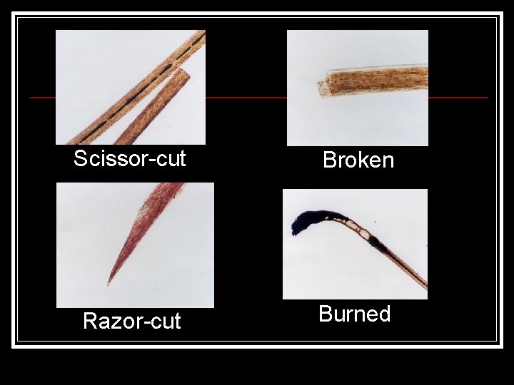 Scissor-cut Broken Razor-cut Burned 