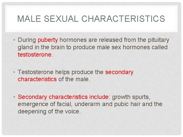 MALE SEXUAL CHARACTERISTICS • During puberty hormones are released from the pituitary gland in