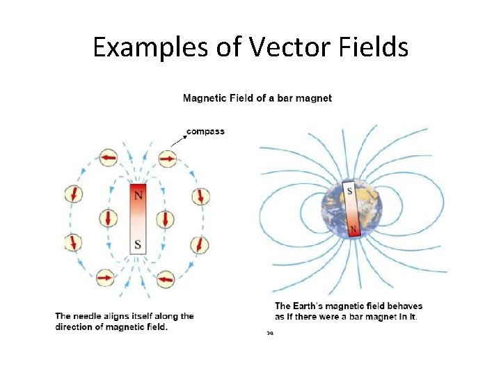 Examples of Vector Fields 