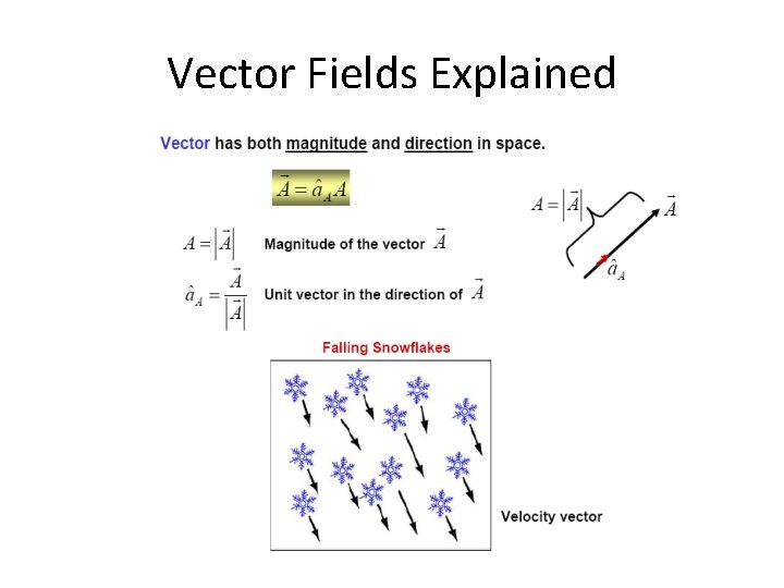 Vector Fields Explained 