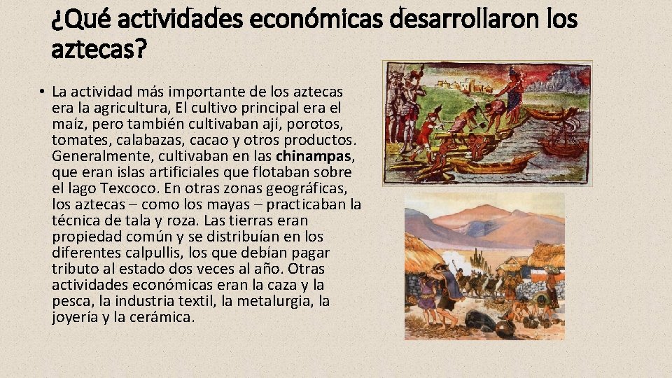 ¿Qué actividades económicas desarrollaron los aztecas? • La actividad más importante de los aztecas