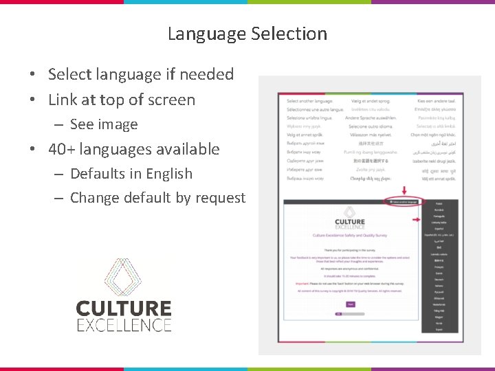 Language Selection • Select language if needed • Link at top of screen –