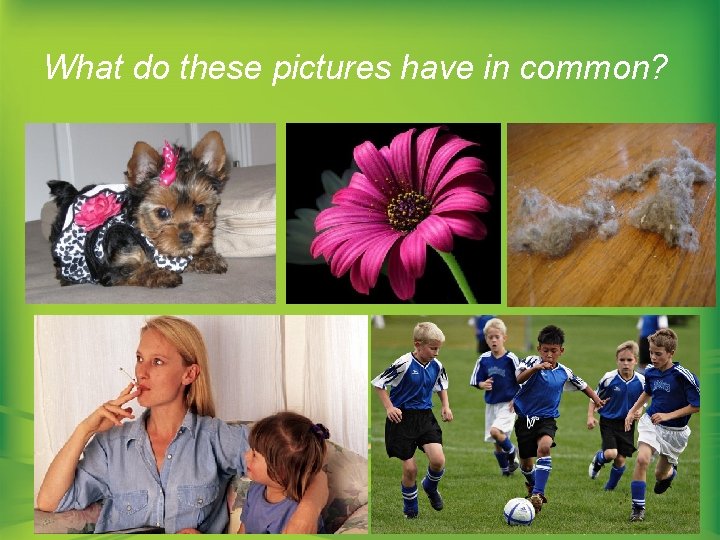 What do these pictures have in common? 