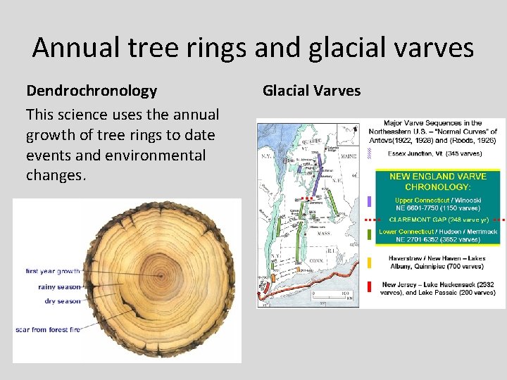 Annual tree rings and glacial varves Dendrochronology This science uses the annual growth of Annual tree rings and glacial varves Dendrochronology This science uses the annual growth of