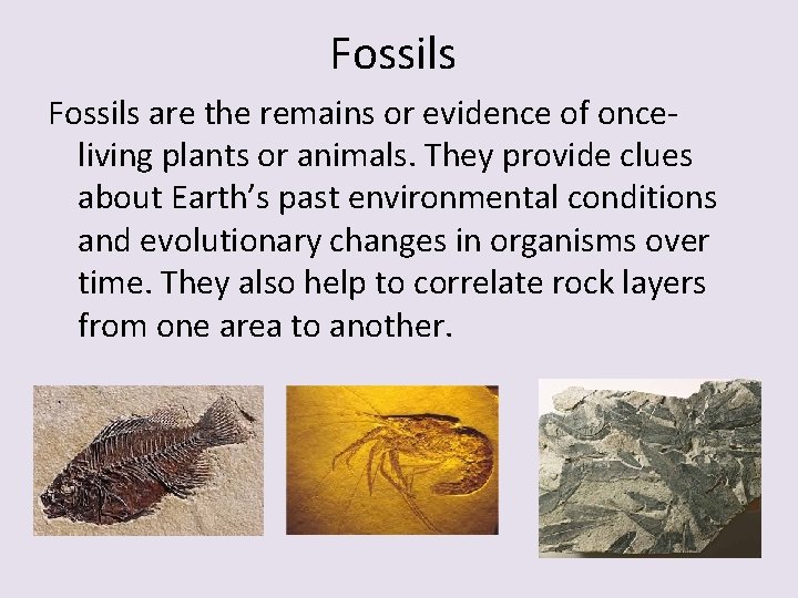 Fossils are the remains or evidence of onceliving plants or animals. They provide clues Fossils are the remains or evidence of onceliving plants or animals. They provide clues