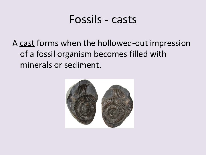 Fossils - casts A cast forms when the hollowed-out impression of a fossil organism Fossils - casts A cast forms when the hollowed-out impression of a fossil organism