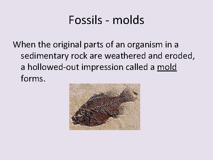 Fossils - molds When the original parts of an organism in a sedimentary rock Fossils - molds When the original parts of an organism in a sedimentary rock