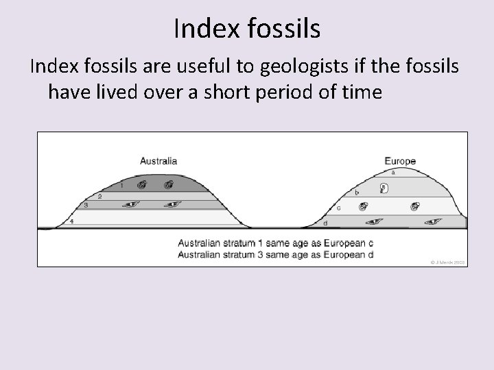 Index fossils are useful to geologists if the fossils have lived over a short Index fossils are useful to geologists if the fossils have lived over a short