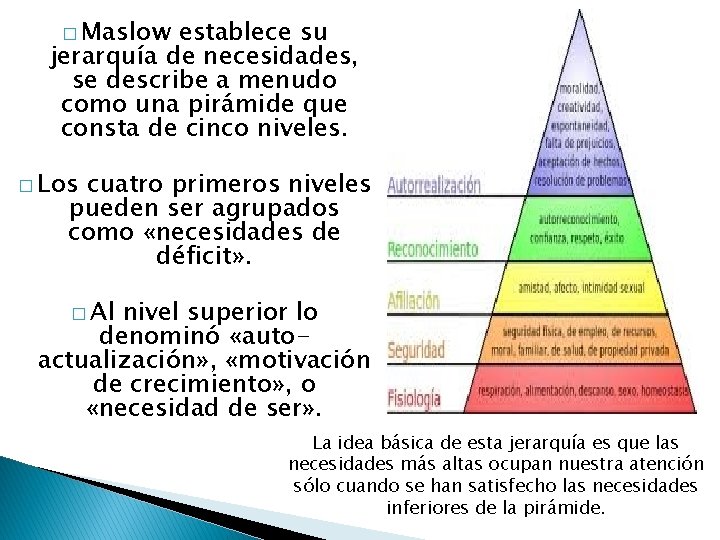 � Maslow establece su jerarquía de necesidades, se describe a menudo como una pirámide