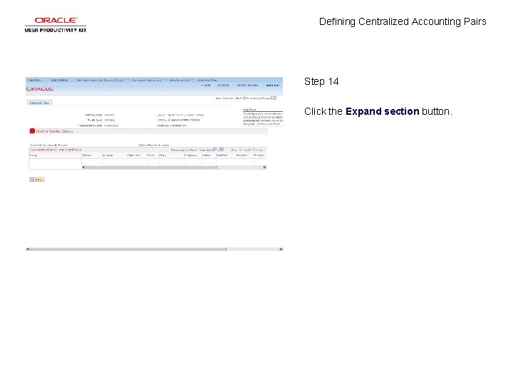 Defining Centralized Accounting Pairs Step 14 Click the Expand section button. 