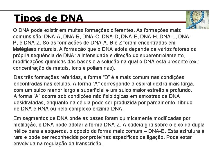 Tipos de DNA O DNA pode existir em muitas formações diferentes. As formações mais