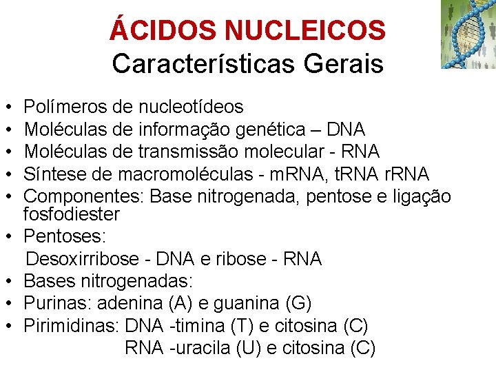 ÁCIDOS NUCLEICOS Características Gerais • • • Polímeros de nucleotídeos Moléculas de informação genética