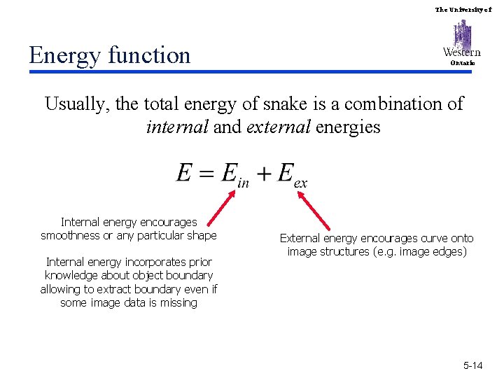 The University of Energy function Ontario Usually, the total energy of snake is a