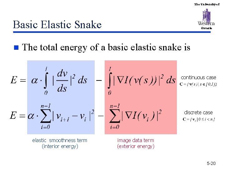 The University of Basic Elastic Snake n Ontario The total energy of a basic