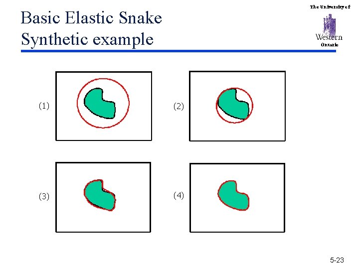 The University of Basic Elastic Snake Synthetic example Ontario (1) (2) (3) (4) 5