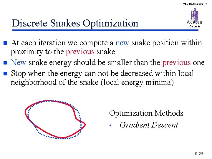 The University of Discrete Snakes Optimization n Ontario At each iteration we compute a