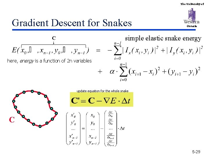 The University of Gradient Descent for Snakes Ontario simple elastic snake energy C here,