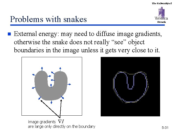 The University of Problems with snakes n Ontario External energy: may need to diffuse