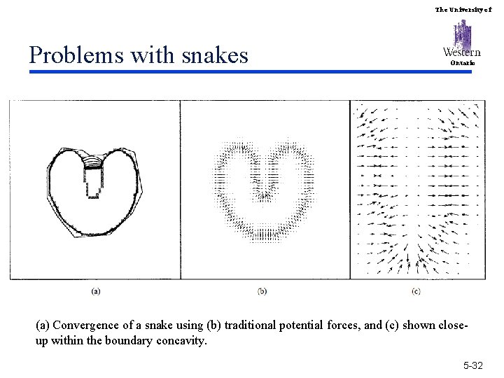 The University of Problems with snakes Ontario (a) Convergence of a snake using (b)
