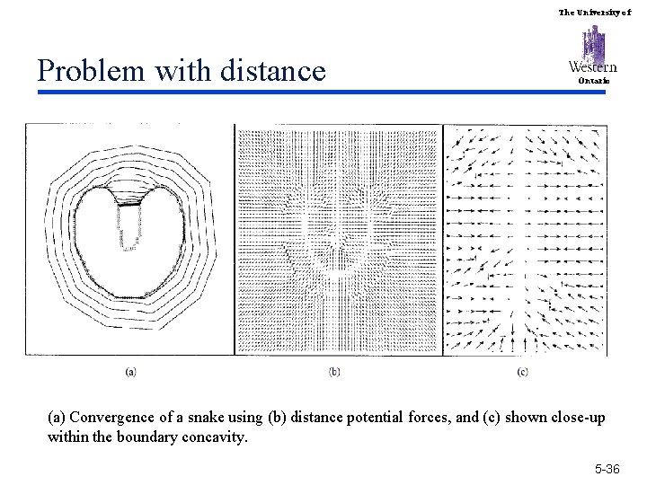 The University of Problem with distance Ontario (a) Convergence of a snake using (b)