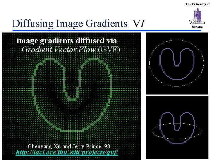 The University of Diffusing Image Gradients Ontario image gradients diffused via Gradient Vector Flow