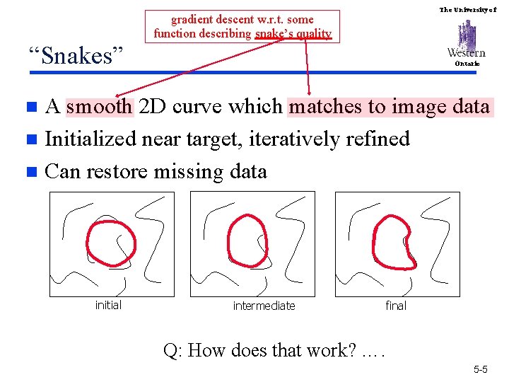 The University of gradient descent w. r. t. some function describing snake’s quality “Snakes”