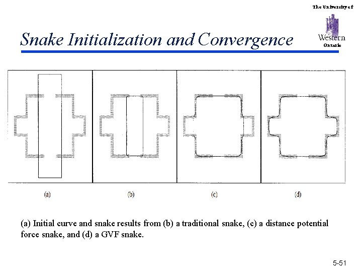 The University of Snake Initialization and Convergence Ontario (a) Initial curve and snake results