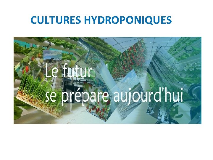 CULTURES HYDROPONIQUES 