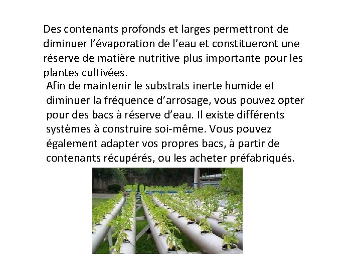 Des contenants profonds et larges permettront de diminuer l’évaporation de l’eau et constitueront une