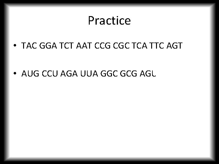 Practice • TAC GGA TCT AAT CCG CGC TCA TTC AGT • AUG CCU