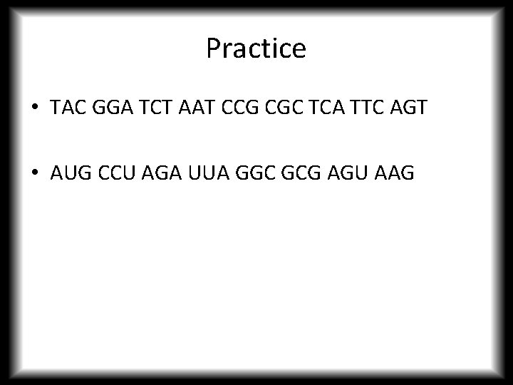 Practice • TAC GGA TCT AAT CCG CGC TCA TTC AGT • AUG CCU