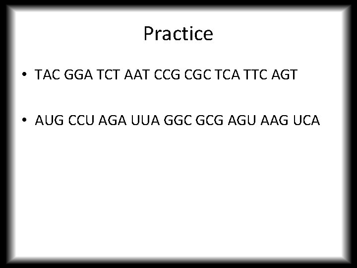 Practice • TAC GGA TCT AAT CCG CGC TCA TTC AGT • AUG CCU