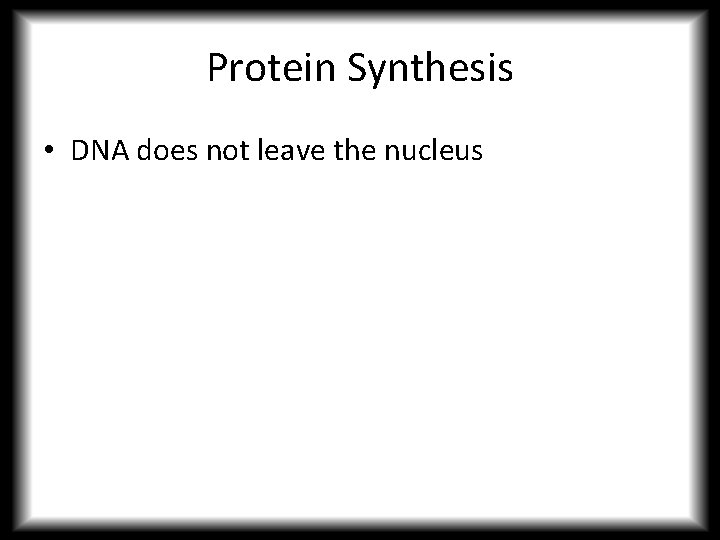 Protein Synthesis • DNA does not leave the nucleus 