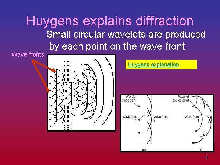 Huygens explains diffraction Wave fronts Small circular wavelets are produced by each point on