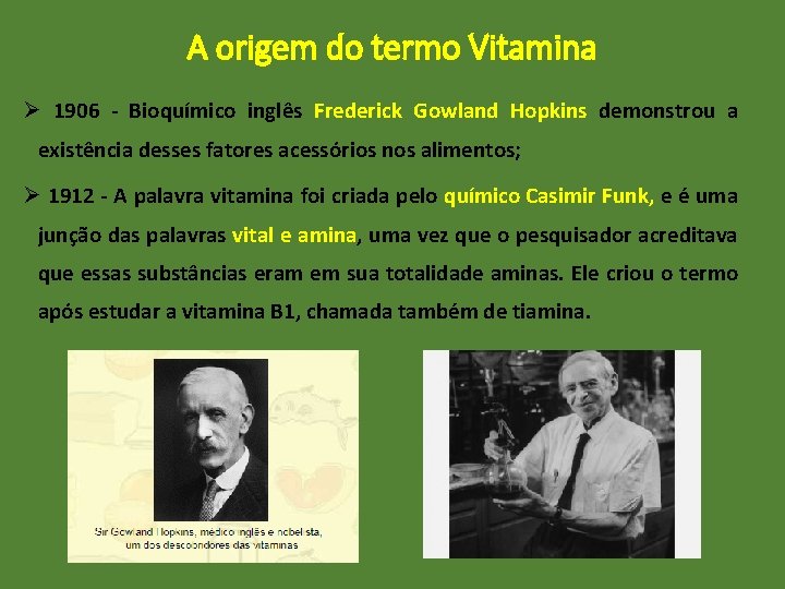 A origem do termo Vitamina Ø 1906 - Bioquímico inglês Frederick Gowland Hopkins demonstrou