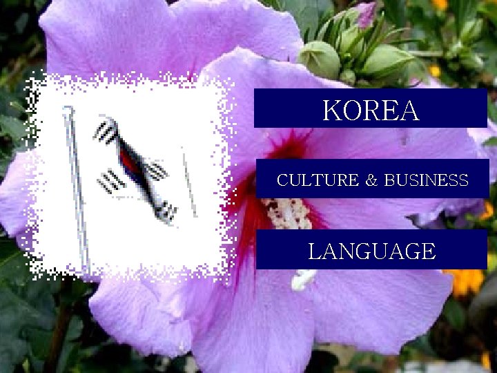 KOREA CULTURE & BUSINESS LANGUAGE 