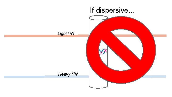 If dispersive. . . Light 14 N Heavy 15 N If dispersive. . . Light 14 N Heavy 15 N