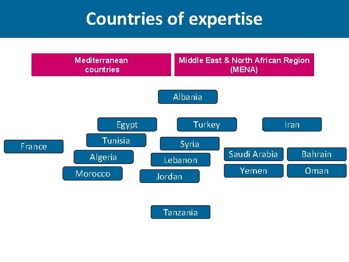 Countries of expertise Mediterranean countries Middle East & North African Region (MENA) Albania Egypt