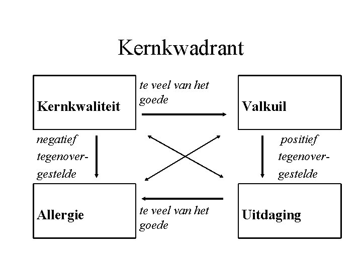 Kernkwadrant Kernkwaliteit te veel van het goede negatief tegenovergestelde Allergie Valkuil positief tegenovergestelde te