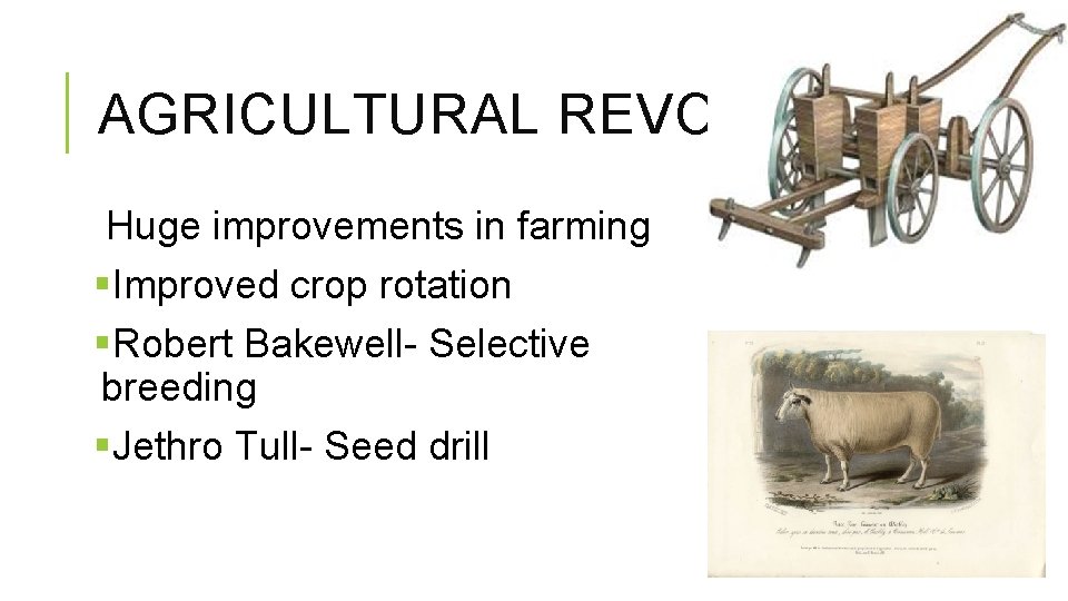 AGRICULTURAL REVOLUTION Huge improvements in farming §Improved crop rotation §Robert Bakewell- Selective breeding §Jethro