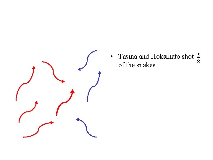  • Tasina and Hoksinato shot of the snakes. 5 8 