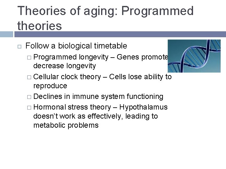 Theories of aging: Programmed theories Follow a biological timetable � Programmed longevity – Genes Theories of aging: Programmed theories Follow a biological timetable � Programmed longevity – Genes