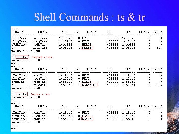 Shell Commands : ts & tr 