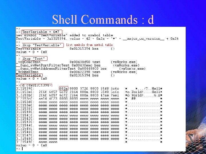 Shell Commands : d 