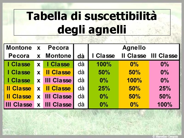 Tabella di suscettibilità degli agnelli 