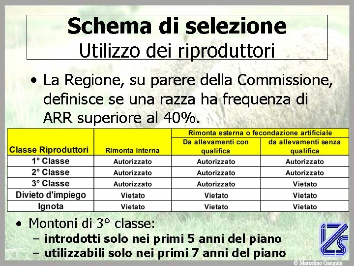 Schema di selezione Utilizzo dei riproduttori • La Regione, su parere della Commissione, definisce