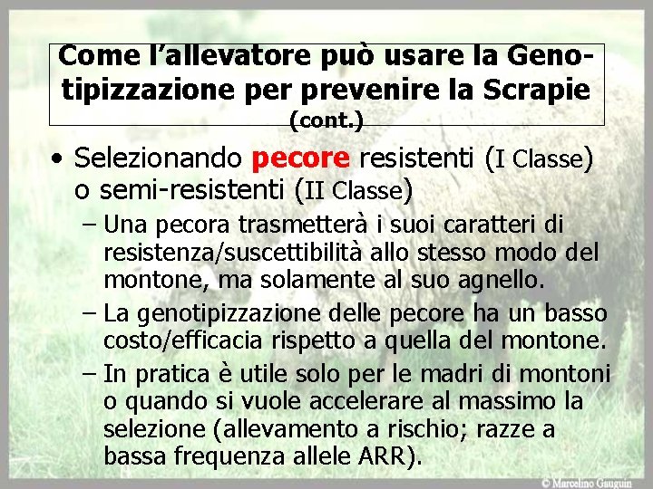 Come l’allevatore può usare la Genotipizzazione per prevenire la Scrapie (cont. ) • Selezionando