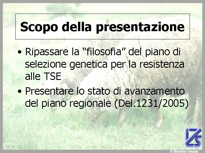 Scopo della presentazione • Ripassare la “filosofia” del piano di selezione genetica per la