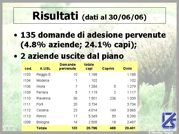 Risultati (dati al 30/06/06) • 135 domande di adesione pervenute (4. 8% aziende; 24.